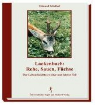Lackenbach: Rehe Sauen, Füchse