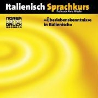 Audio-Sprachführer: Überlebenskenntnisse in Italienisch. 2 CD