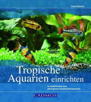 Tropische Aquarien einrichten