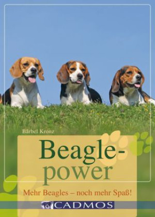 Beaglepower