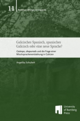 Galicisches Spanisch, spanisches Galicisch oder eine neue Sprache?