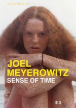 Joel Meyerowitz. Sense of time. A film by Ralph Goertz