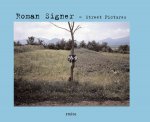 Roman Signer: Street Pictures
