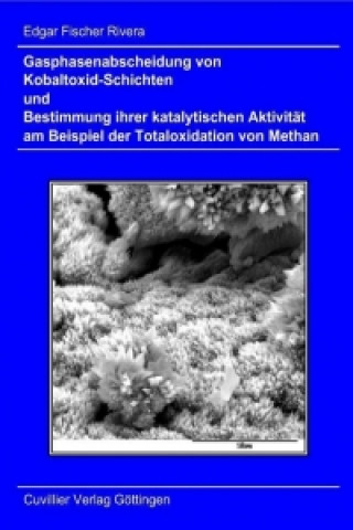 Gasphasenabscheidung von Kobaltoxid-Schichten und Bestimmung ihrer katalytischen Aktivität am Beispiel der Totaloxidation von Methan