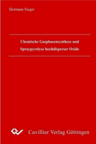 Chemische Gasphasensynthese und Spraypyrolyse hochdisperser Oxide