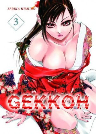 Gekkoh 03