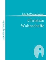 Christian Wahnschaffe