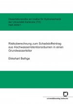 Risikoberechnung zum Schadstoffeintrag aus Hochwasserretentionsraumen in einen Grundwasserleiter