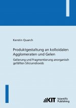 Produktgestaltung an kolloidalen Agglomeraten und Gelen