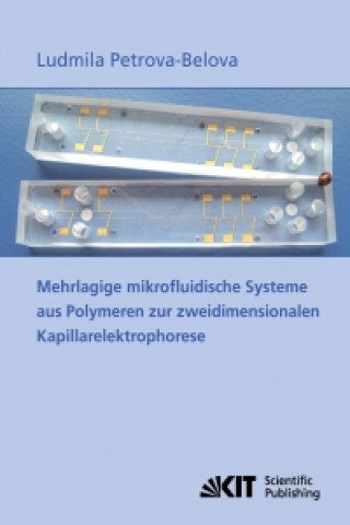 Mehrlagige mikrofluidische Systeme aus Polymeren zur zweidimensionalen Kapillarelektrophorese