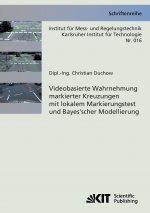 Videobasierte Wahrnehmung markierter Kreuzungen mit lokalem Markierungstest und Bayes'scher Modellierung