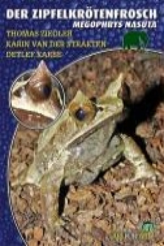 Der Zipfelkrötenfrosch - Megophrys Nasuta