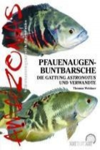 Pfauenaugen-Buntbarsche