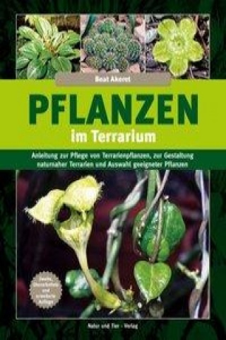Pflanzen im Terrarium