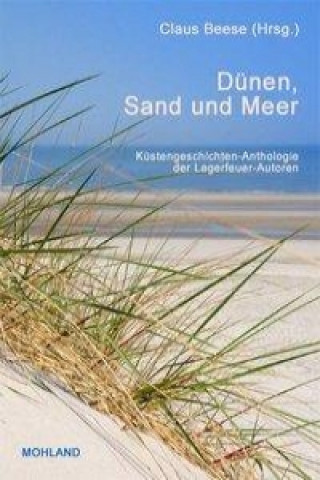 Dünen, Sand und Meer