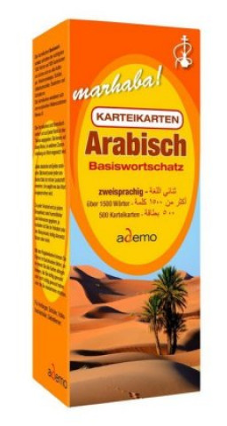 Karteikartenbox Basiswortschatz Arabisch Niveau A1