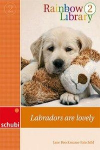 Rainbow Library 2 - Labradors are lovely