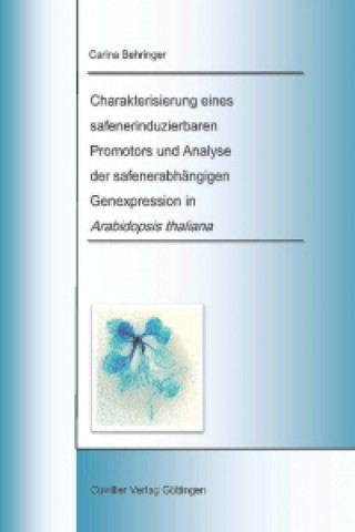 Charakterisierung eines safenerinduzierbaren Promotors und Analyse der safenerabhängigen Genexpression in Arabidopsis thaliana