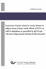 Expression of genes related to energy balance in adipose tissue of dairy cattle: effects of SCFA on mRNA abundance as quantified by qPCR and relevance