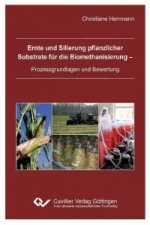 Ernte und Silierung pflanzlicher Substrate für die Biomethanisierung - Prozessgrundlagen und Bewertung