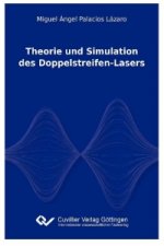 Theorie und Simulation des Doppelstreifen-Lasers
