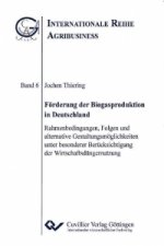 Förderung der Biogasproduktion in Deutschland. Rahmenbedingungen, Folgen und alternative Gestaltungsmöglichkeiten unter besonderer Berücksichtigung de