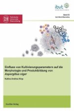 Einfluss von Kultivierungsparametern auf die Morphologie und Produktbildung von Aspergillus niger