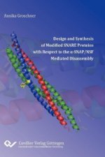Design and Synthesis of Modified SNARE Proteins with Respect to the ??SNAP/NSF Mediated Disassembly
