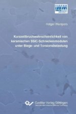 Kurzzeitbruchwahrscheinlichkeit von keramischen SSiC-Schneckenmodulen unter Biege- und Torsionsbelastung