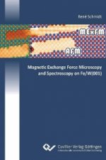 Magnetic Exchange Force Microscopy and Spectroscopy on Fe/W(001)