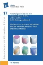 Wachstum von nicht- und semipolaren InAIGaN-Heterostrukturen für hocheffiziente Lichtemitter