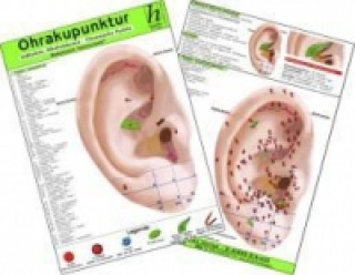 Ohrakupunktur - Indikation: Chronische Polyarthritis - chinesische Ohrakupunktur. Medizinische Taschen-Karte
