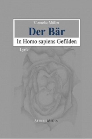 Der Bär in Homo sapiens Gefilden