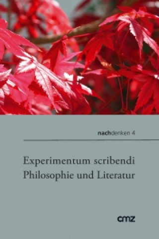 Experimentum scribendi