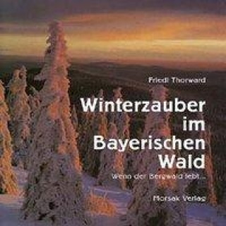 Thorward, F: Winterzauber im Bayerischen Wald