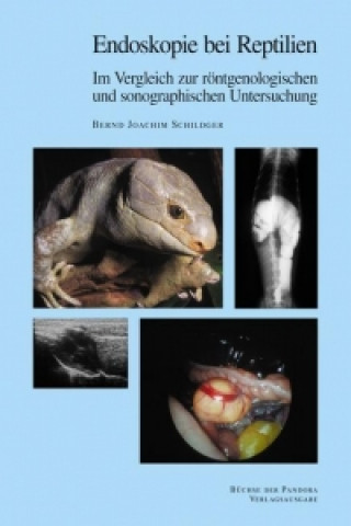 Endoskopie bei Reptilien