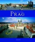 Faszinierendes Prag