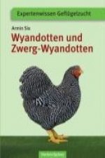 Wyandotten und Zwerg-Wyandotten
