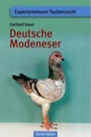 Deutsche Modeneser