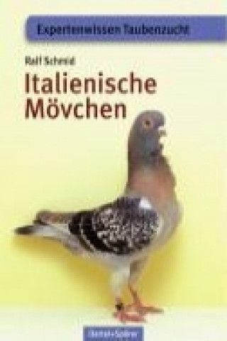 Italienische Mövchen