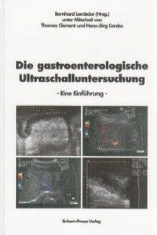 Die gastroenterologische Ultraschalluntersuchung