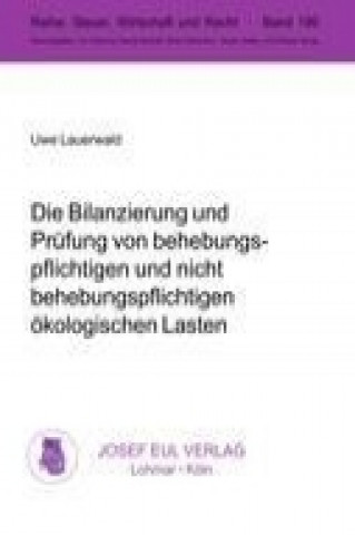 Die Bilanzierung und Prüfung von behebungspflichtigen und nicht behebungspflichtigen ökologischen Lasten