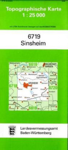 Sinsheim 1 : 25 000
