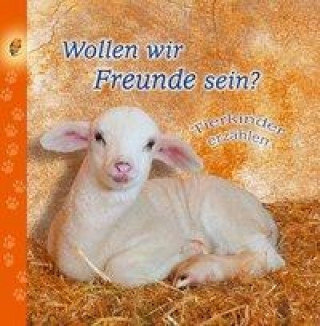 Wollen wir Freunde sein?