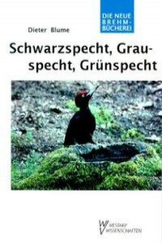 Schwarzspecht, Grauspecht, Grünspecht