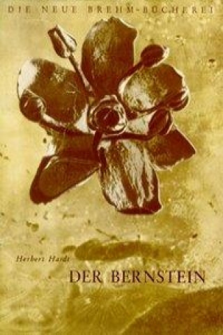 Der Bernstein