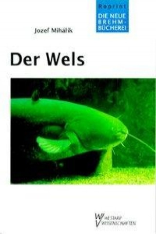 Der Wels