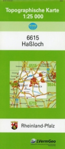 Haßloch 1 : 25 000