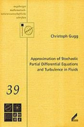 Approximation of Stochastic Partial Differential Equations and Turbulence in Fluids
