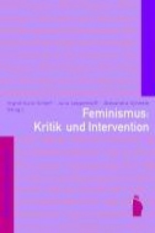 Feminismus: Kritik und Intervention